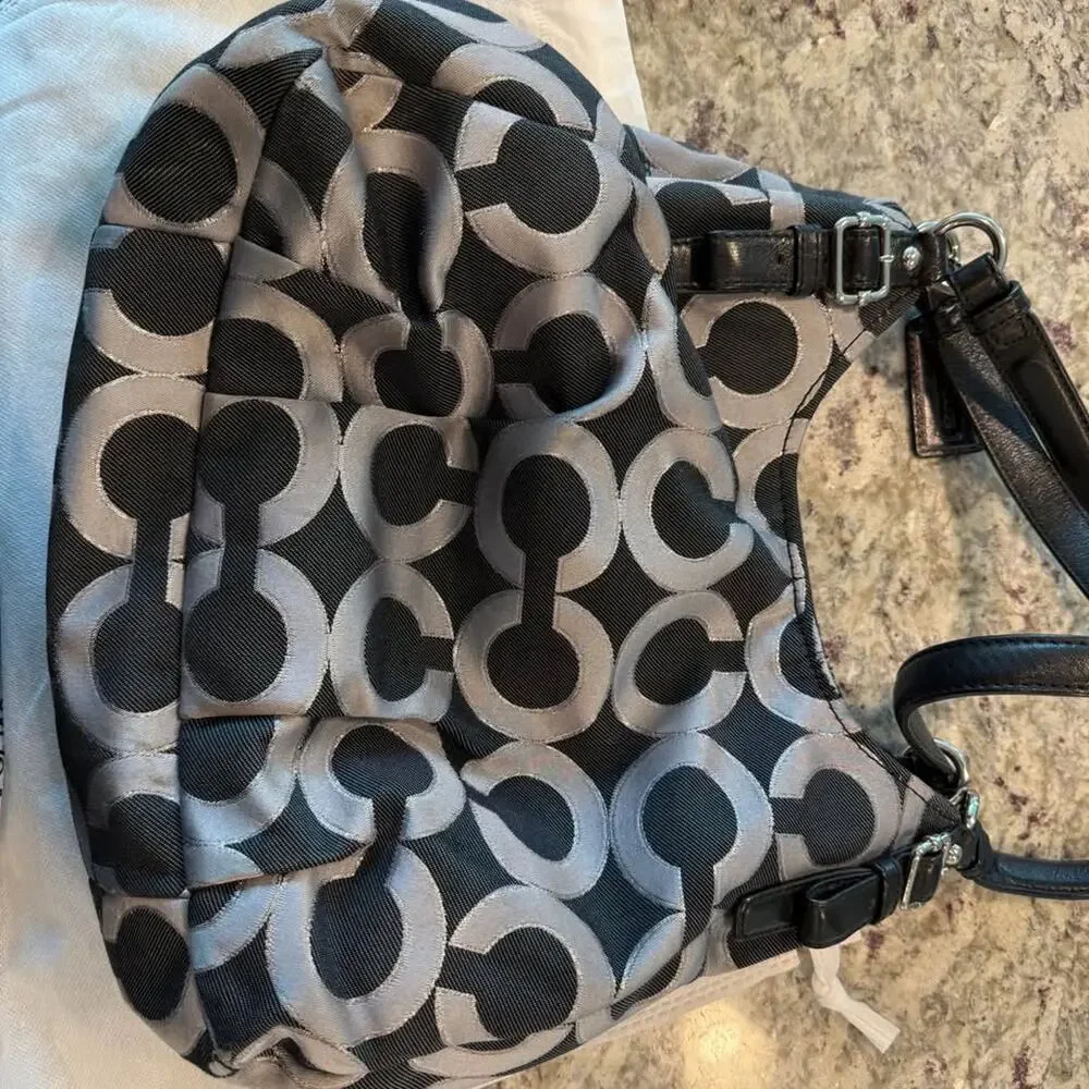 Coach stylish signature